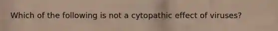 Which of the following is not a cytopathic effect of viruses?