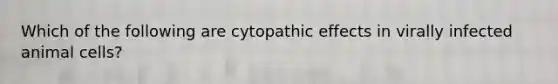 Which of the following are cytopathic effects in virally infected animal cells?