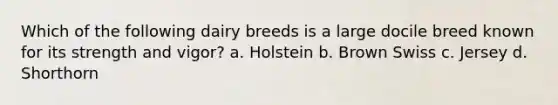 Which of the following dairy breeds is a large docile breed known for its strength and vigor? a. Holstein b. Brown Swiss c. Jersey d. Shorthorn