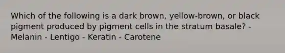 Which of the following is a dark brown, yellow-brown, or black pigment produced by pigment cells in the stratum basale? - Melanin - Lentigo - Keratin - Carotene