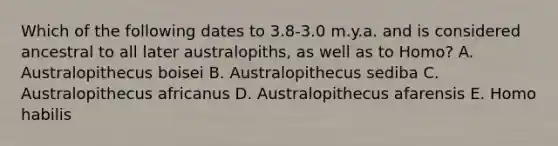 Which of the following dates to 3.8-3.0 m.y.a. and is considered ancestral to all later australopiths, as well as to Homo? A. Australopithecus boisei B. Australopithecus sediba C. Australopithecus africanus D. Australopithecus afarensis E. Homo habilis