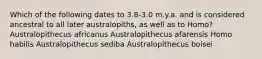 Which of the following dates to 3.8-3.0 m.y.a. and is considered ancestral to all later australopiths, as well as to Homo? Australopithecus africanus Australopithecus afarensis Homo habilis Australopithecus sediba Australopithecus boisei