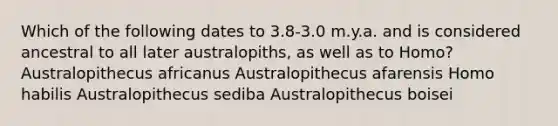 Which of the following dates to 3.8-3.0 m.y.a. and is considered ancestral to all later australopiths, as well as to Homo? Australopithecus africanus Australopithecus afarensis Homo habilis Australopithecus sediba Australopithecus boisei