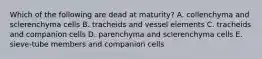 Which of the following are dead at maturity? A. collenchyma and sclerenchyma cells B. tracheids and vessel elements C. tracheids and companion cells D. parenchyma and sclerenchyma cells E. sieve-tube members and companion cells