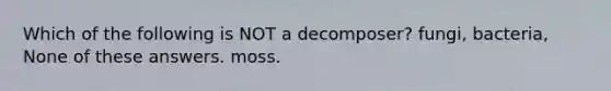 Which of the following is NOT a decomposer? fungi, bacteria, None of these answers. moss.