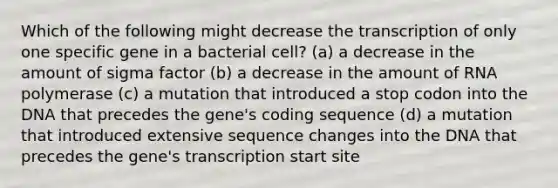 Which of the following might decrease the transcription of only one specific gene in a bacterial cell? (a) a decrease in the amount of sigma factor (b) a decrease in the amount of RNA polymerase (c) a mutation that introduced a stop codon into the DNA that precedes the gene's coding sequence (d) a mutation that introduced extensive sequence changes into the DNA that precedes the gene's transcription start site