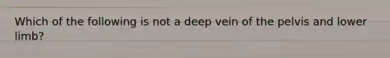 Which of the following is not a deep vein of the pelvis and lower limb?