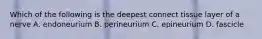 Which of the following is the deepest connect tissue layer of a nerve A. endoneurium B. perineurium C. epineurium D. fascicle