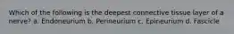 Which of the following is the deepest connective tissue layer of a nerve? a. Endoneurium b. Perineurium c. Epineurium d. Fascicle