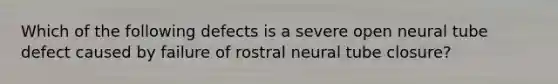 Which of the following defects is a severe open neural tube defect caused by failure of rostral neural tube closure?