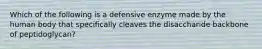 Which of the following is a defensive enzyme made by the human body that specifically cleaves the disaccharide backbone of peptidoglycan?