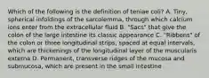 Which of the following is the definition of teniae coli? A. Tiny, spherical infoldings of the sarcolemma, through which calcium ions enter from the extracellular fluid B. "Sacs" that give the colon of the large intestine its classic appearance C. "Ribbons" of the colon or three longitudinal strips, spaced at equal intervals, which are thickenings of the longitudinal layer of the muscularis externa D. Permanent, transverse ridges of the mucosa and submucosa, which are present in the small intestine