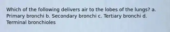 Which of the following delivers air to the lobes of the lungs? a. Primary bronchi b. Secondary bronchi c. Tertiary bronchi d. Terminal bronchioles