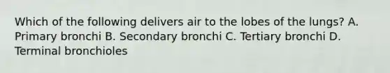 Which of the following delivers air to the lobes of the lungs? A. Primary bronchi B. Secondary bronchi C. Tertiary bronchi D. Terminal bronchioles