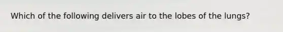 Which of the following delivers air to the lobes of the lungs?