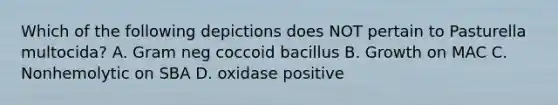 Which of the following depictions does NOT pertain to Pasturella multocida? A. Gram neg coccoid bacillus B. Growth on MAC C. Nonhemolytic on SBA D. oxidase positive