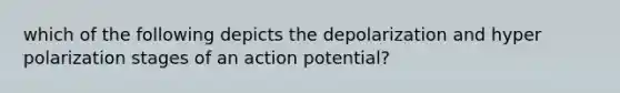 which of the following depicts the depolarization and hyper polarization stages of an action potential?