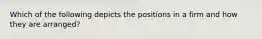 Which of the following depicts the positions in a firm and how they are arranged?
