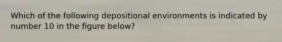 Which of the following depositional environments is indicated by number 10 in the figure below?