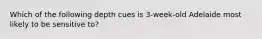 Which of the following depth cues is 3-week-old Adelaide most likely to be sensitive to?