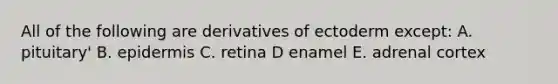 All of the following are derivatives of ectoderm except: A. pituitary' B. epidermis C. retina D enamel E. adrenal cortex