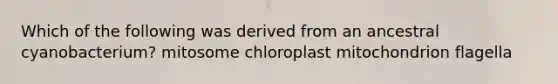 Which of the following was derived from an ancestral cyanobacterium? mitosome chloroplast mitochondrion flagella