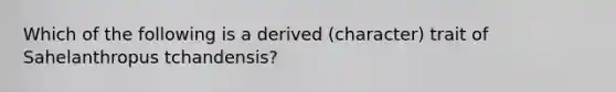 Which of the following is a derived (character) trait of Sahelanthropus tchandensis?