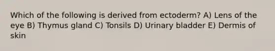 Which of the following is derived from ectoderm? A) Lens of the eye B) Thymus gland C) Tonsils D) <a href='https://www.questionai.com/knowledge/kb9SdfFdD9-urinary-bladder' class='anchor-knowledge'>urinary bladder</a> E) Dermis of skin