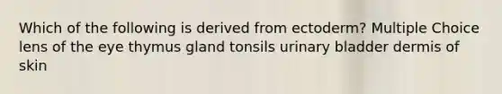 Which of the following is derived from ectoderm? Multiple Choice lens of the eye thymus gland tonsils urinary bladder dermis of skin