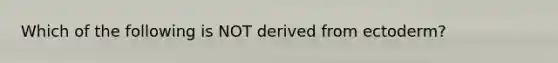 Which of the following is NOT derived from ectoderm?