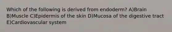 Which of the following is derived from endoderm? A)Brain B)Muscle C)Epidermis of the skin D)Mucosa of the digestive tract E)Cardiovascular system