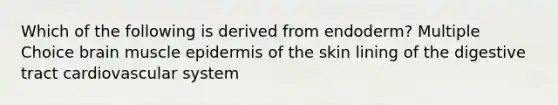 Which of the following is derived from endoderm? Multiple Choice brain muscle epidermis of the skin lining of the digestive tract cardiovascular system