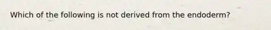 Which of the following is not derived from the endoderm?