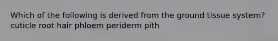 Which of the following is derived from the <a href='https://www.questionai.com/knowledge/kb0kKBaH0H-ground-tissue' class='anchor-knowledge'>ground tissue</a> system? cuticle root hair phloem periderm pith