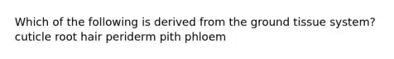 Which of the following is derived from the ground tissue system? cuticle root hair periderm pith phloem