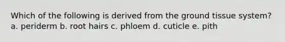 Which of the following is derived from the <a href='https://www.questionai.com/knowledge/kb0kKBaH0H-ground-tissue' class='anchor-knowledge'>ground tissue</a> system? a. periderm b. root hairs c. phloem d. cuticle e. pith