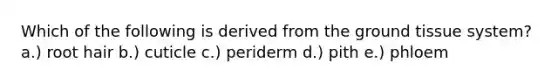 Which of the following is derived from the ground tissue system? a.) root hair b.) cuticle c.) periderm d.) pith e.) phloem