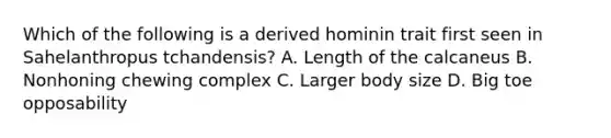 Which of the following is a derived hominin trait first seen in Sahelanthropus tchandensis? A. Length of the calcaneus B. Nonhoning chewing complex C. Larger body size D. Big toe opposability