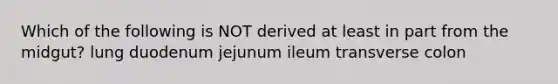 Which of the following is NOT derived at least in part from the midgut? lung duodenum jejunum ileum transverse colon