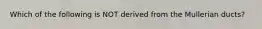 Which of the following is NOT derived from the Mullerian ducts?