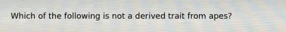 Which of the following is not a derived trait from apes?