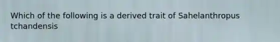 Which of the following is a derived trait of Sahelanthropus tchandensis