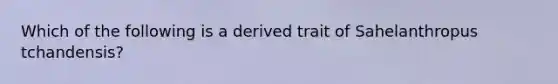 Which of the following is a derived trait of Sahelanthropus tchandensis?