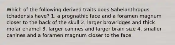 Which of the following derived traits does Sahelanthropus tchadensis have? 1. a prognathic face and a foramen magnum closer to the back of the skull 2. larger browridges and thick molar enamel 3. larger canines and larger brain size 4. smaller canines and a foramen magnum closer to the face