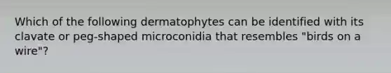 Which of the following dermatophytes can be identified with its clavate or peg-shaped microconidia that resembles "birds on a wire"?