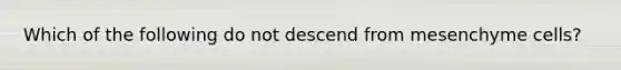 Which of the following do not descend from mesenchyme cells?