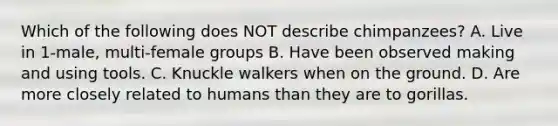 Which of the following does NOT describe chimpanzees? A. Live in 1-male, multi-female groups B. Have been observed making and using tools. C. Knuckle walkers when on the ground. D. Are more closely related to humans than they are to gorillas.