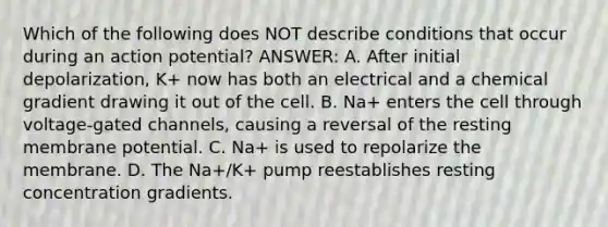 Which of the following does NOT describe conditions that occur during an action potential? ANSWER: A. After initial depolarization, K+ now has both an electrical and a chemical gradient drawing it out of the cell. B. Na+ enters the cell through voltage-gated channels, causing a reversal of the resting membrane potential. C. Na+ is used to repolarize the membrane. D. The Na+/K+ pump reestablishes resting concentration gradients.