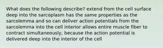 What does the following describe? extend from the cell surface deep into the sarcoplasm has the same properties as the sarcolemma and so can deliver action potentials from the sarcolemma into the cell interior allows entire muscle fiber to contract simultaneously, because the action potential is delivered deep into the interior of the cell