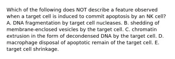 Which of the following does NOT describe a feature observed when a target cell is induced to commit apoptosis by an NK cell? A. DNA fragmentation by target cell nucleases. B. shedding of membrane-enclosed vesicles by the target cell. C. chromatin extrusion in the form of decondensed DNA by the target cell. D. macrophage disposal of apoptotic remain of the target cell. E. target cell shrinkage.